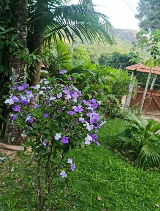 Sitio Borges Villa Petropolis  Exterior photo